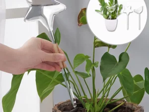 Self-Watering Plant Glass Bulbs