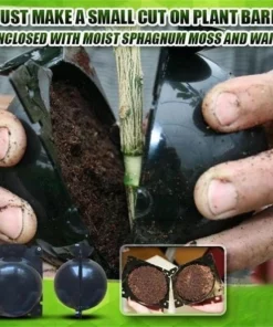 REUSABLE PLANT ROOT GROWING BOX