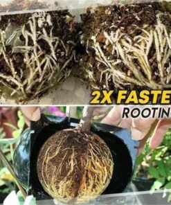 REUSABLE PLANT ROOT GROWING BOX