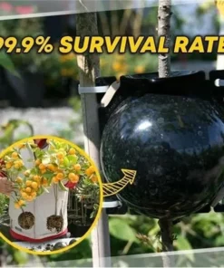 REUSABLE PLANT ROOT GROWING BOX