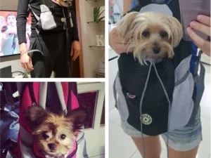 Dog Backpack & Relieve separation anxiety in dogs
