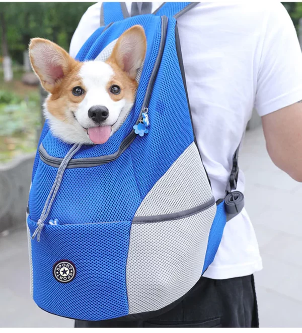 Dog Backpack at Alisin ang separation anxiety sa mga aso