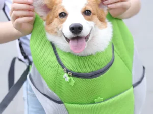 Dog Backpack & Relieve separation anxiety in dogs
