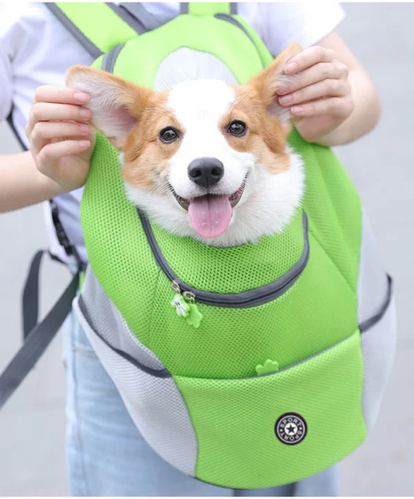 Dog Backpack at Alisin ang separation anxiety sa mga aso