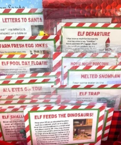 2022 Elf Kit 24 Days of Christmas