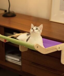 Alternative view of Cat Window Perch