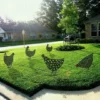 Chicken Art Of Garden