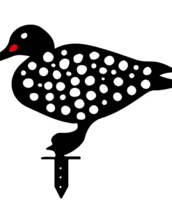 Chicken Art Of Garden