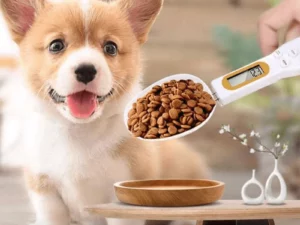 Detachable Electronic Measuring Spoon