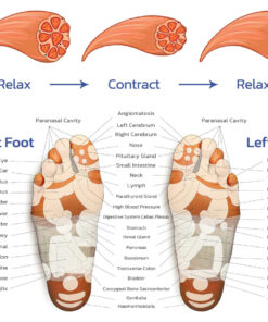 EMS Bioelectric Acupoints Massage Mat