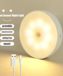 Energy-Efficient LED Motion Sensor Light