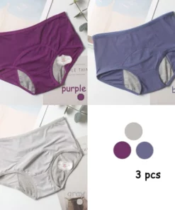 3 pcs Leak Proof Panties