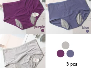 3 pcs Leak Proof Panties