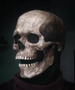 Skull Real Skeleton Mask