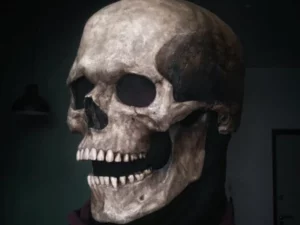 Skull Real Skeleton Mask