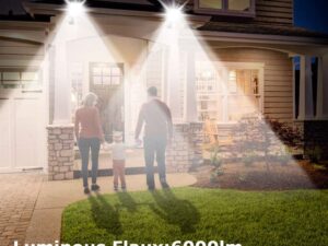 Solar LED Lamp 6000K