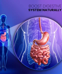 Vega BellyOff Detox Foot Patch