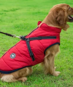 Waterproof Winter Jacket with Built-in Harness