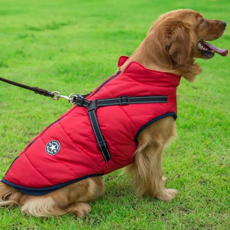 Waterproof Winter Jacket with Built-in Harness