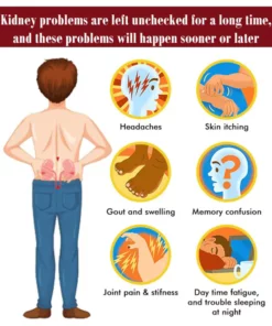 DcCare® End gout Break Down Kidney Stones Kidney Care Patch