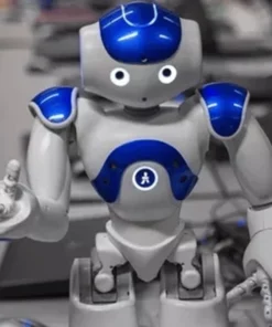 Gesture Sensing Smart Robot