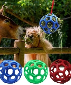 Horse Treat Ball