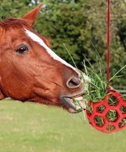 Horse Treat Ball