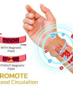 IONTitan Osimium Detox Wristband