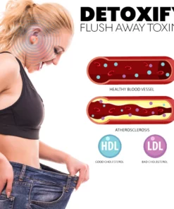 LavishCrown Lymphvity Earrings