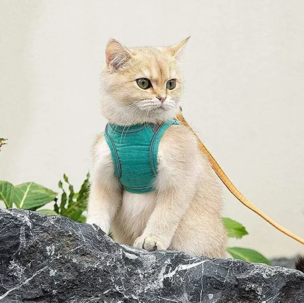 Luminous Cat Vest Harness en Leash Set