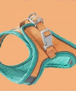 Luminous Cat Vest Harness and Leash Set
