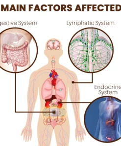 Myla™ Detoxing Belly Patch