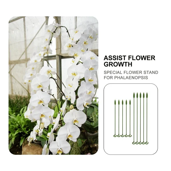 Plant Support Stake (10 Pcs)