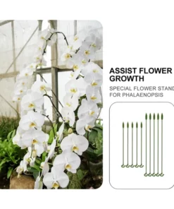 Plant Support Stake（10 Pcs）