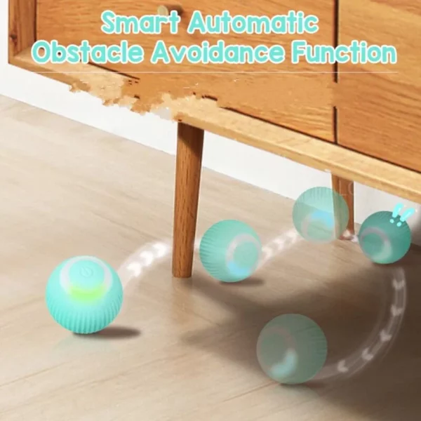 Self-Moving Ball For My Dog & Cat