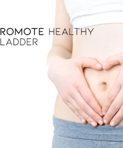 BLADControl Bladder Leakage Healing Patch