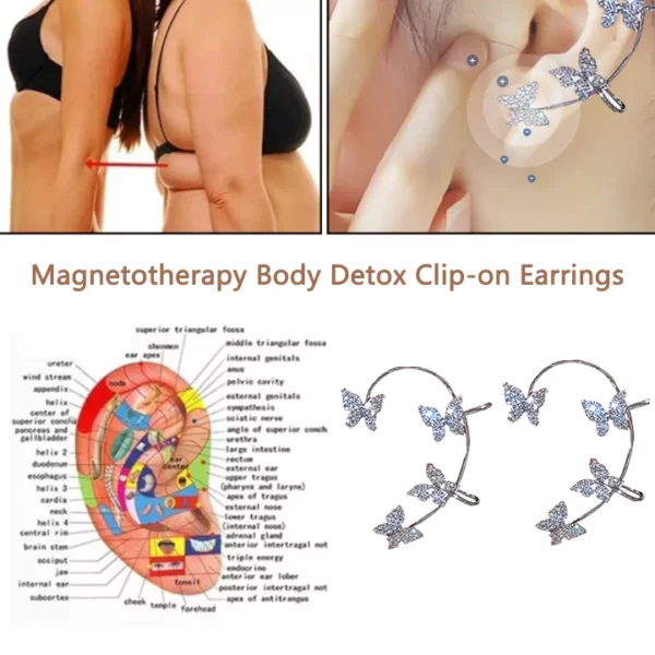 අලංකාර කිරීම™ Magnetotherapy Body Detox Clip-On Earrings