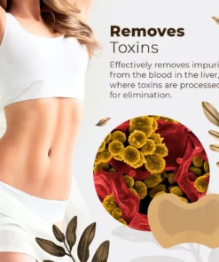 BeautyGirl™ V-Face Detox Neck Patch