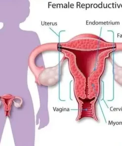 DUO® Instant Anti-Itch Detox Slimming Capsule