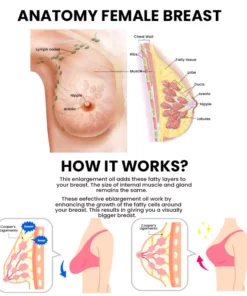 EzenUp Boobshaping Enlargement Cream