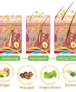 GerminalOil Ginger Hair Regrowth Serum