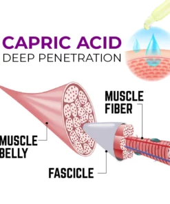 Herbalux™ Hip Plump Capric Oil