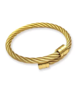 IONDetox Titanium Detox Wristband