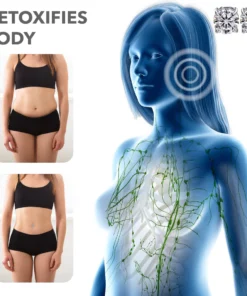 Murray Luxury Magnetisch Lymphvity Earrings