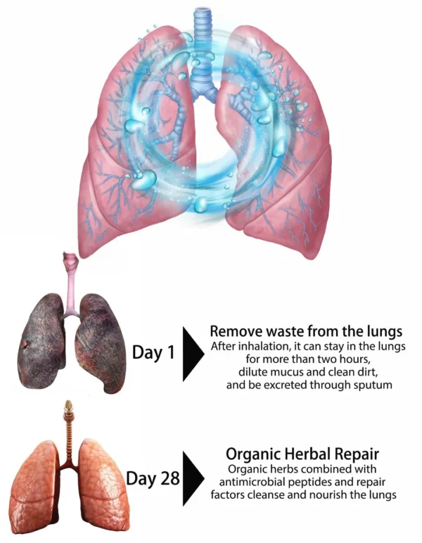 Spray nasal de limpeza e reparación de pulmóns orgánicos OnNature® PRO