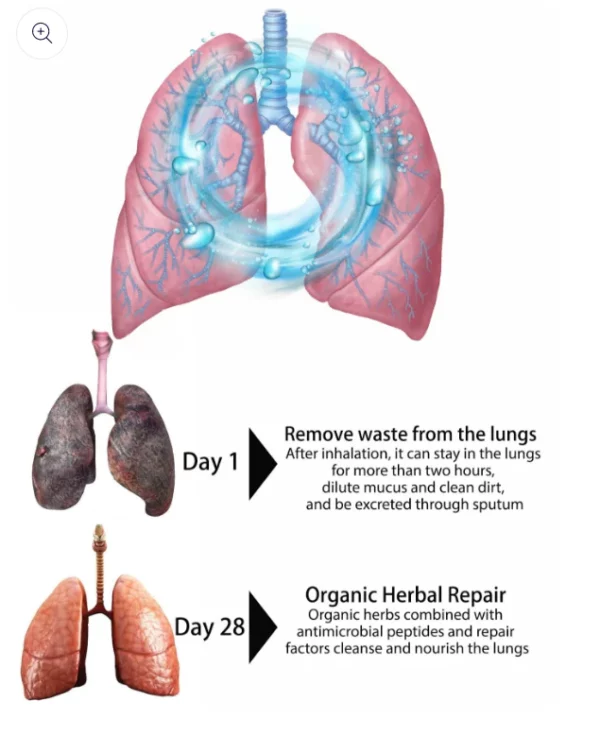 Aerosol nasal reparador de limpieza pulmonar a base de hierbas orgánicas