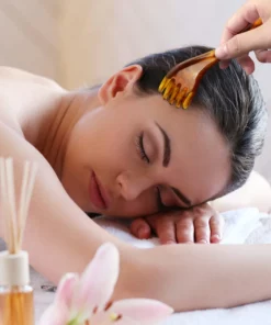 Portable Resin Relax Massager for Head-Neck and Leg