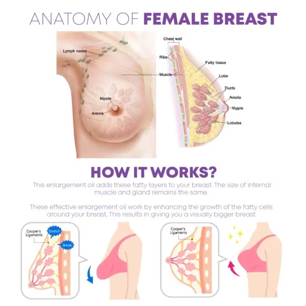 SaggyReduce BreastEnhancement krèm