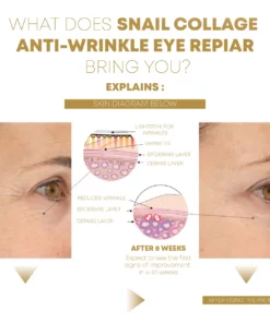 SnailCollagen AntiWrinkle EyeRepair Cream