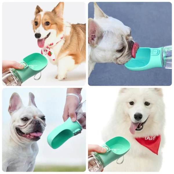 La bottiglia d'acqua per animali domestici